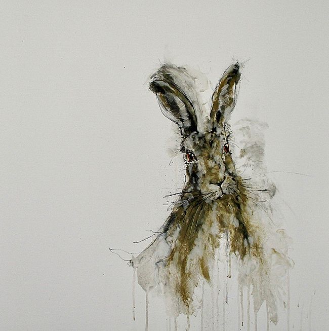 Heidi  Wickham - Scruffy Hare